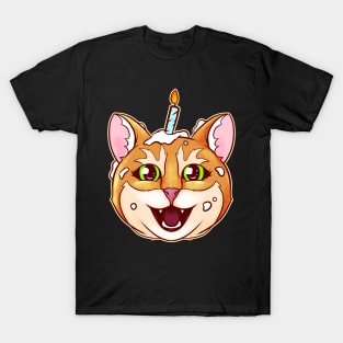 Cat With Birthday Candle Ate The Birthday Cake On Purrsday T-Shirt